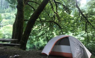 Kaelin P.'s photo at Siuslaw National Forest Blackberry Campground near Yachats, OR