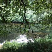 Review photo of Siuslaw National Forest Blackberry Campground by Kaelin P., July 19, 2019