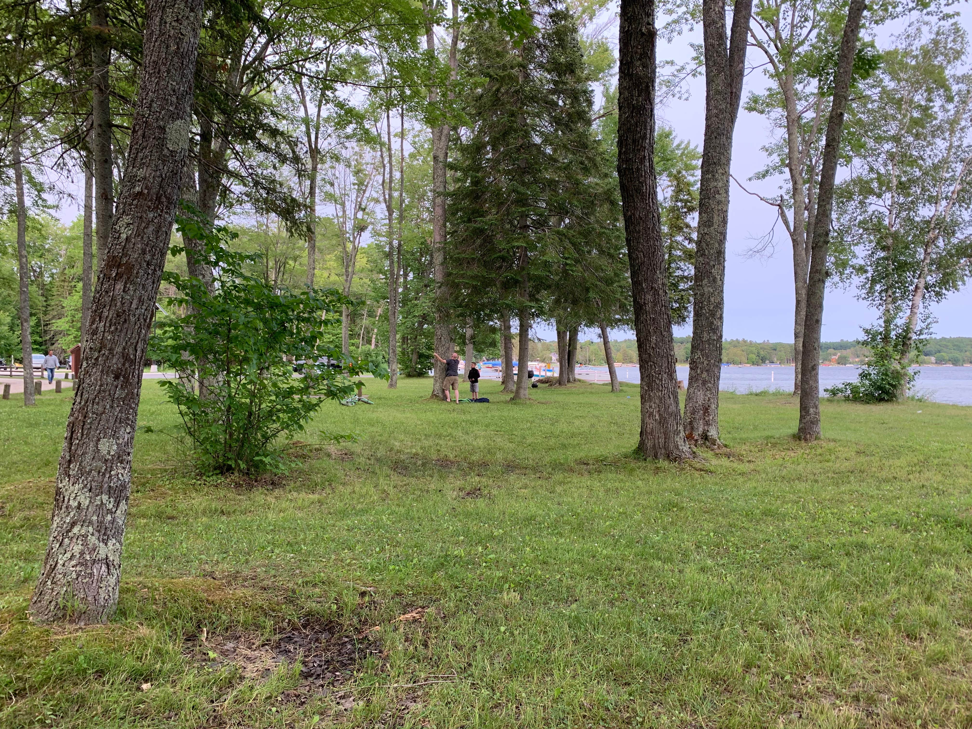 Camper submitted image from Maple Bay State Forest Campground - 4