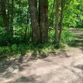 Review photo of Maple Bay State Forest Campground by Beth C., July 19, 2019