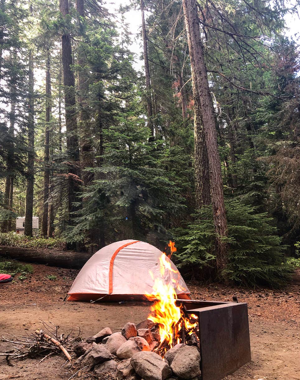 Brittany B.'s photo at Sunset Cove Campground near Gilchrist, OR