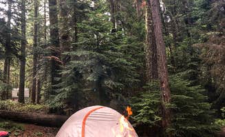 Brittany B.'s photo at Sunset Cove Campground near Crescent, OR