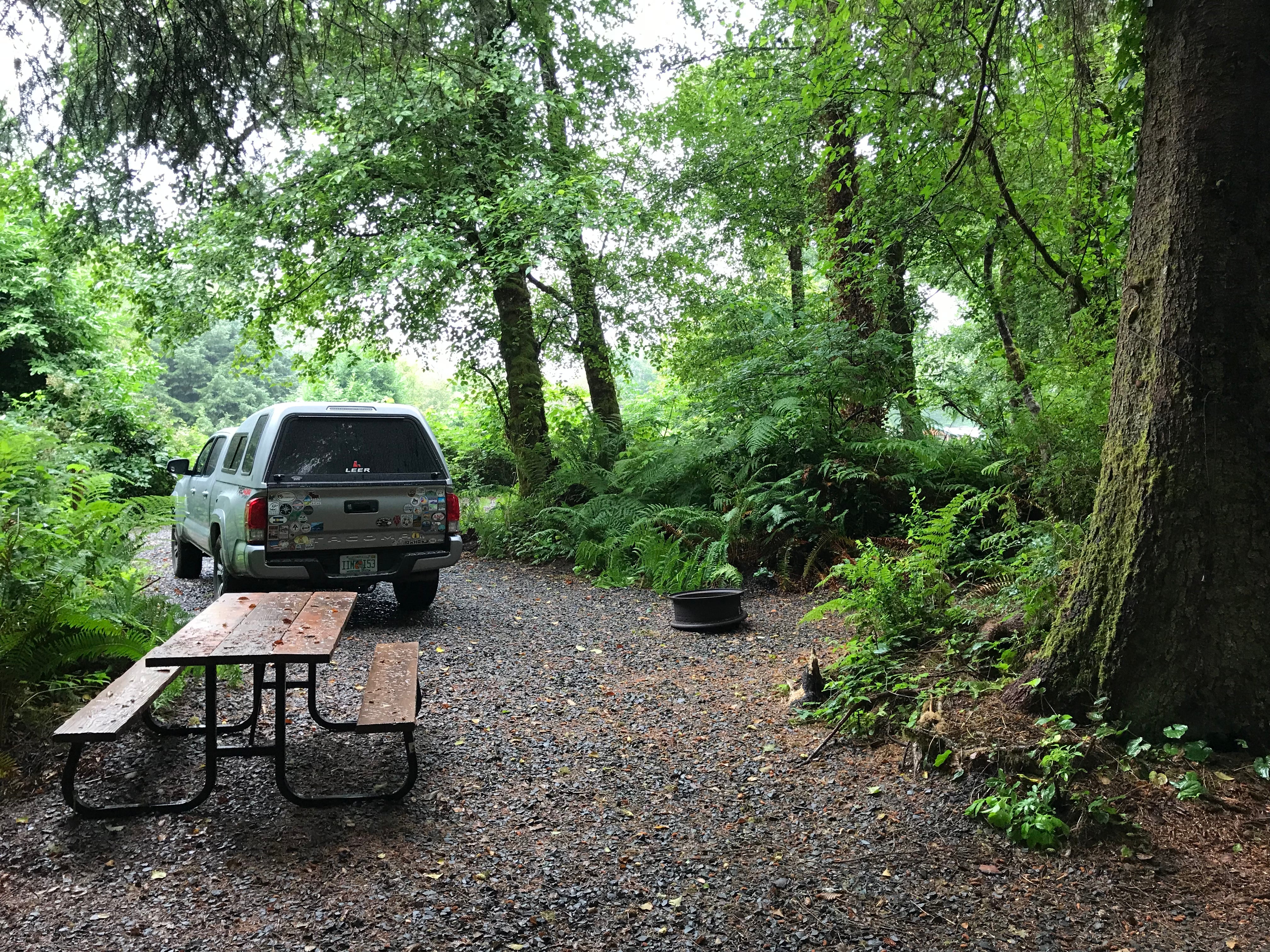 Camper submitted image from Bay Center-Willapa Bay KOA - 4