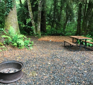Camper-submitted photo from Bay Center-Willapa Bay KOA