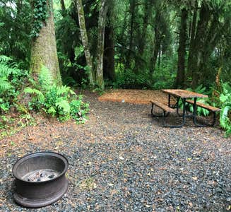 Camper-submitted photo from Coho Campground