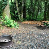 Review photo of Bay Center-Willapa Bay KOA by Kaelin P., July 19, 2019