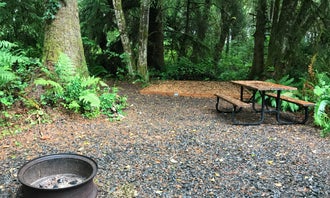Camping near Ocean City State Park Campground: Bay Center-Willapa Bay KOA, Oysterville, Washington