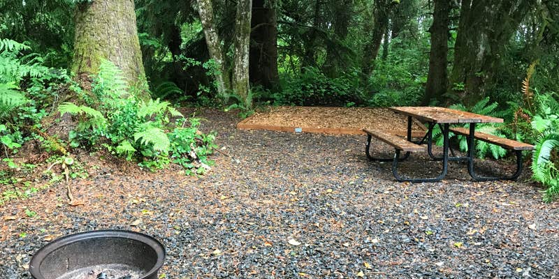 Camper submitted image from Bay Center-Willapa Bay KOA