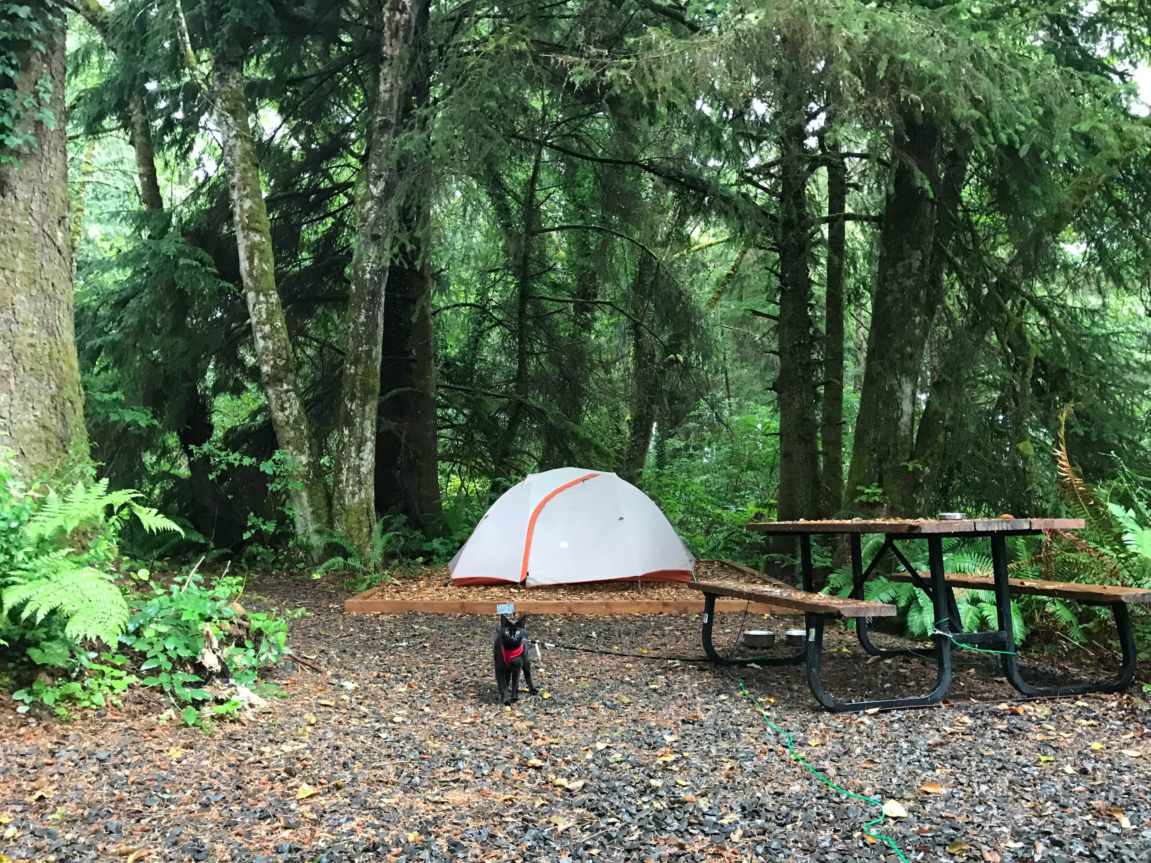 Kaelin P.'s photo at Bay Center-Willapa Bay KOA near Ocean Park, WA