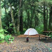 Review photo of Bay Center-Willapa Bay KOA by Kaelin P., July 19, 2019