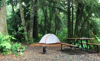 Kaelin P.'s photo at Bay Center-Willapa Bay KOA near Raymond, WA