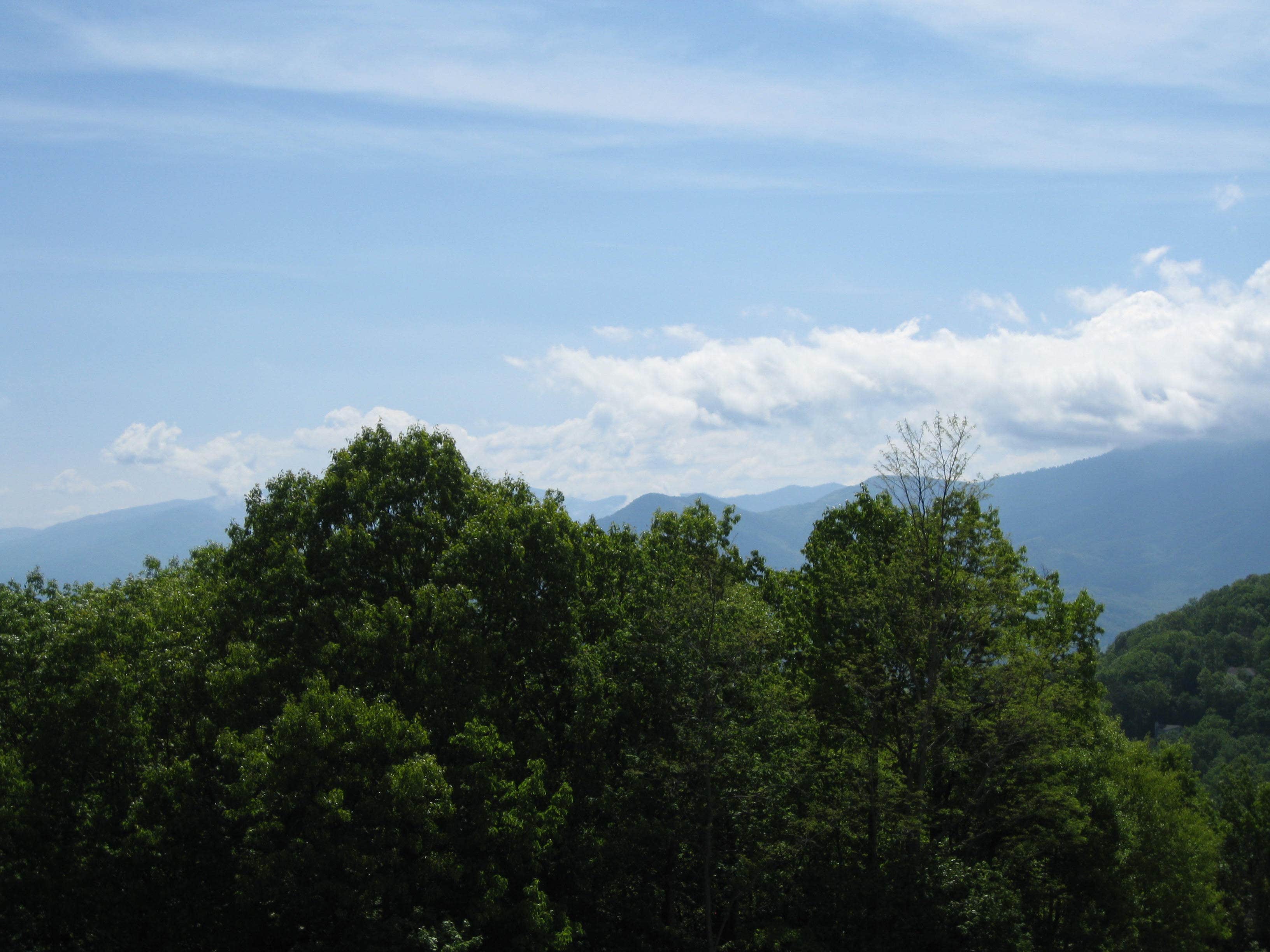 Camper submitted image from Balsam Mountain Campground — Great Smoky Mountains National Park - 2