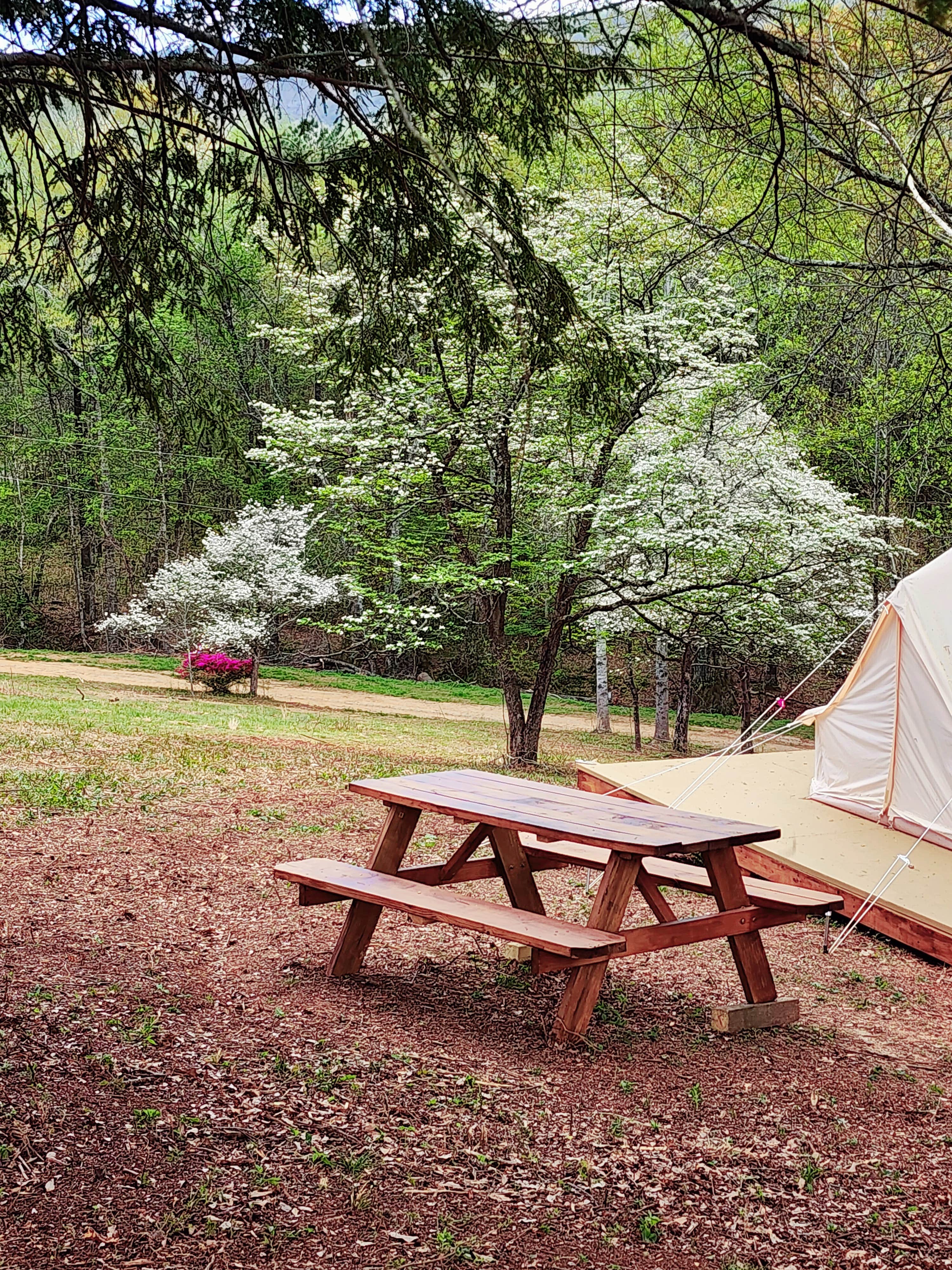 Tina M.'s photo at Covenant View Camp and Retreat near White Oak, GA