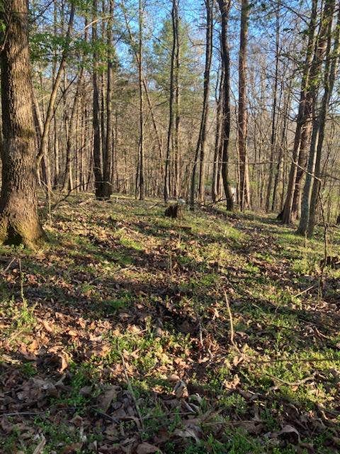 Camper-submitted photo at Covenant View Camp and Retreat near Signal Mountain, TN