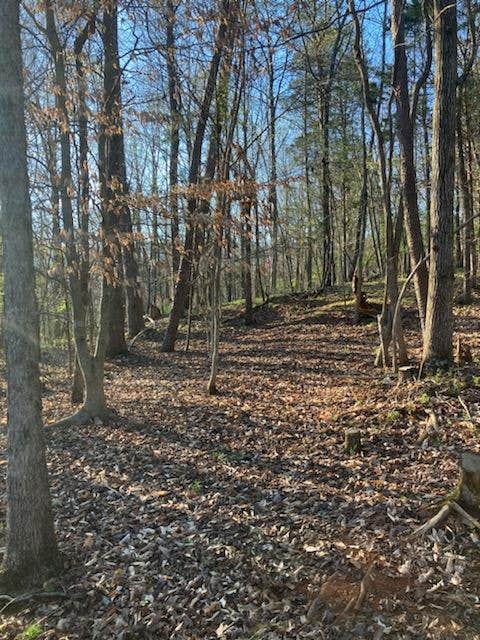 Camper-submitted photo at Covenant View Camp and Retreat near Signal Mountain, TN