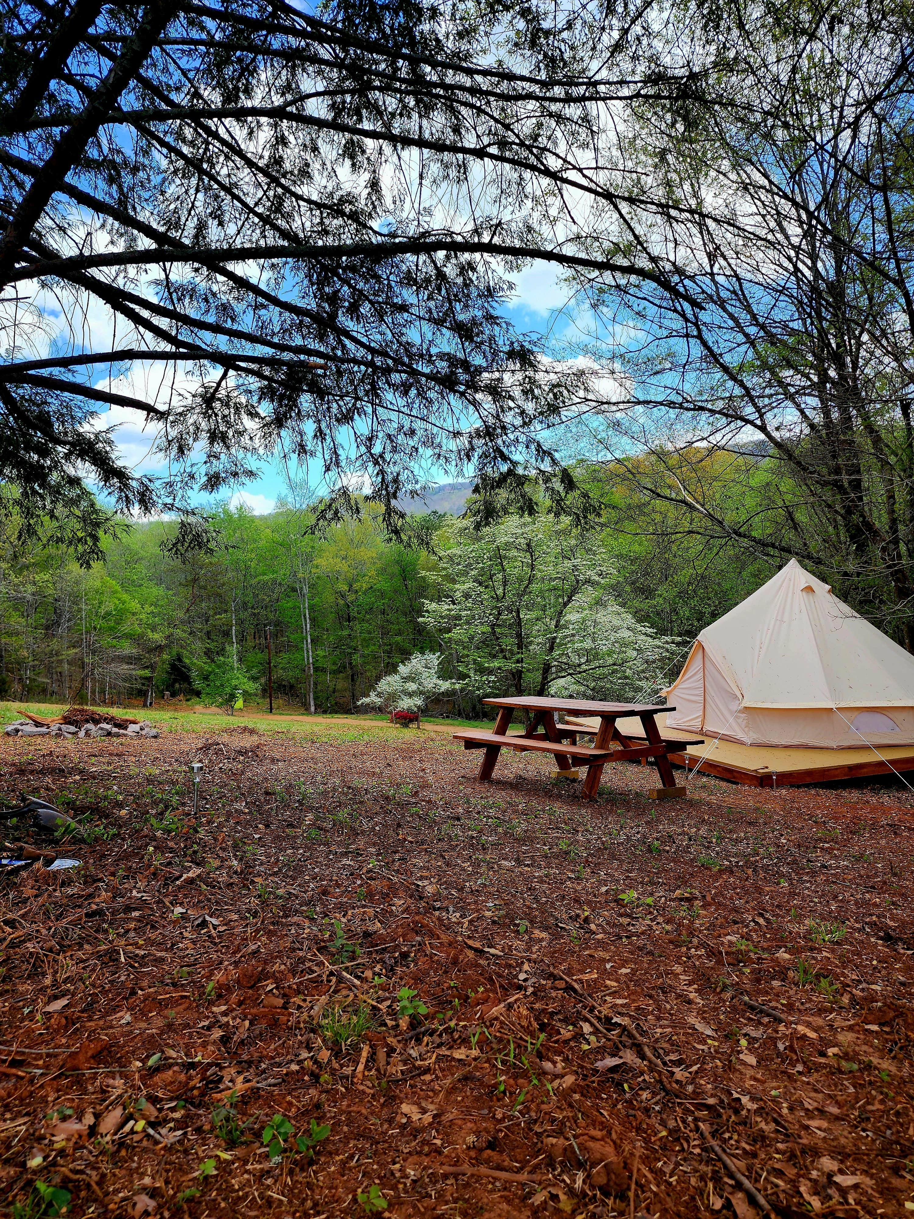 Camper-submitted photo at Covenant View Camp and Retreat near Signal Mountain, TN