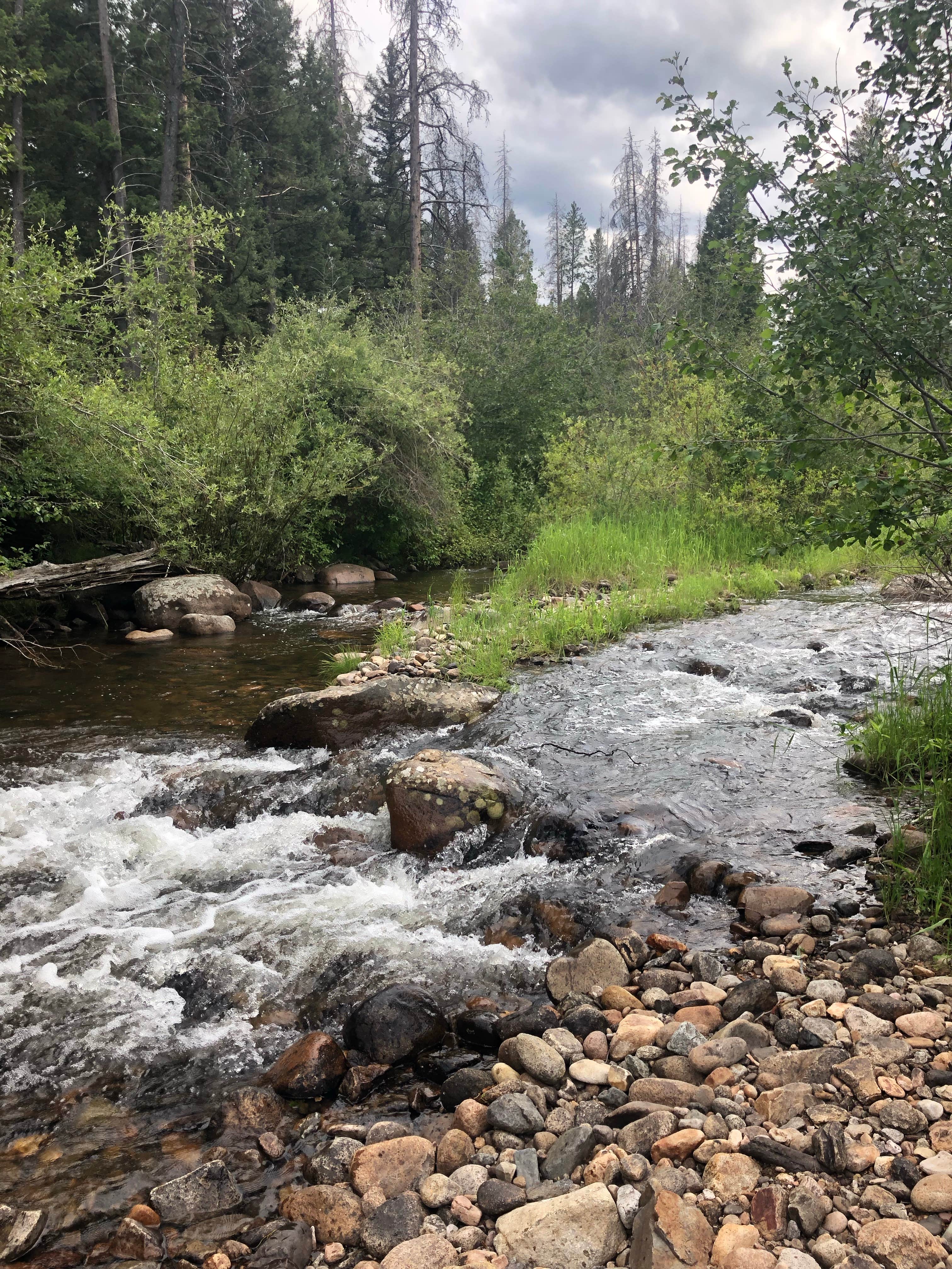 Camper-submitted photo at Moose Creek Campground — Helena Lewis And Clark National Forest near Helena, MT