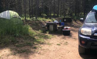 Haley P.'s photo at Spring Creek Campground near Monarch, MT