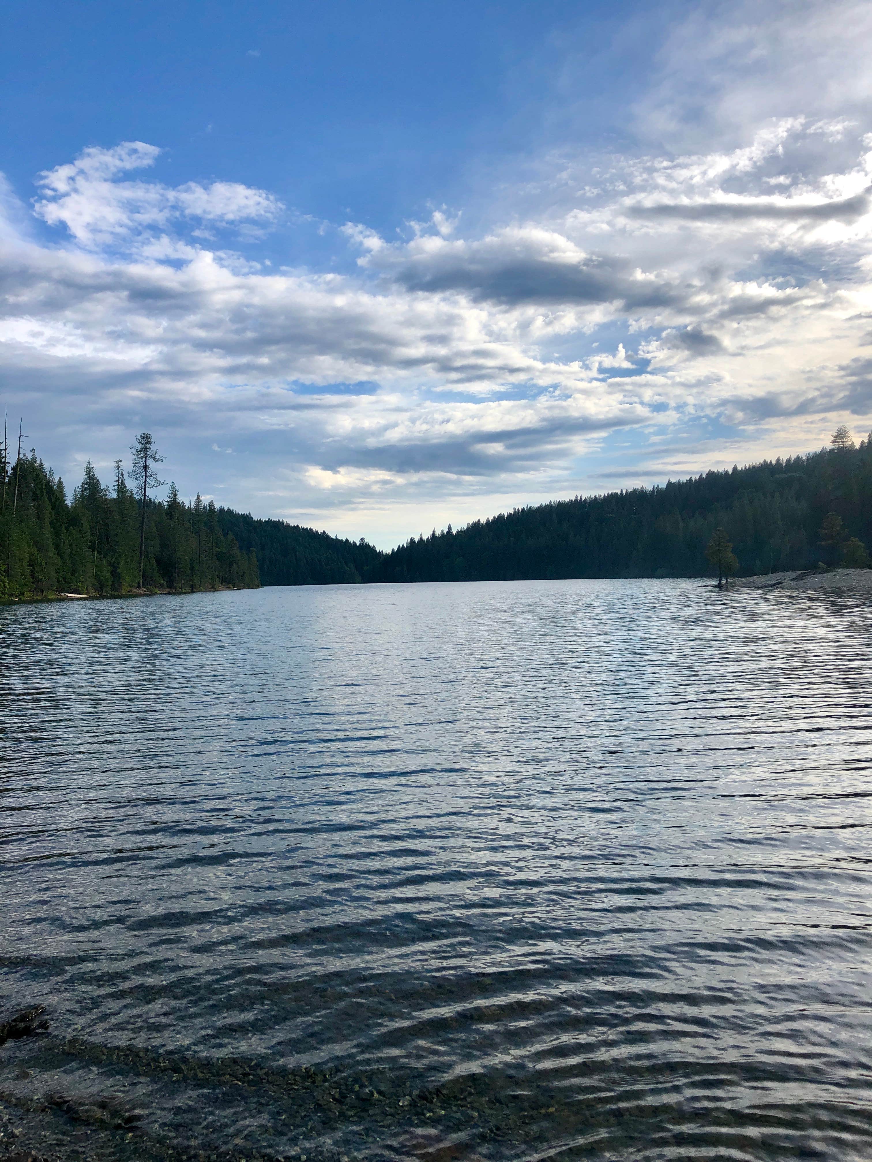 Camper submitted image from Shirttail Creek - 2