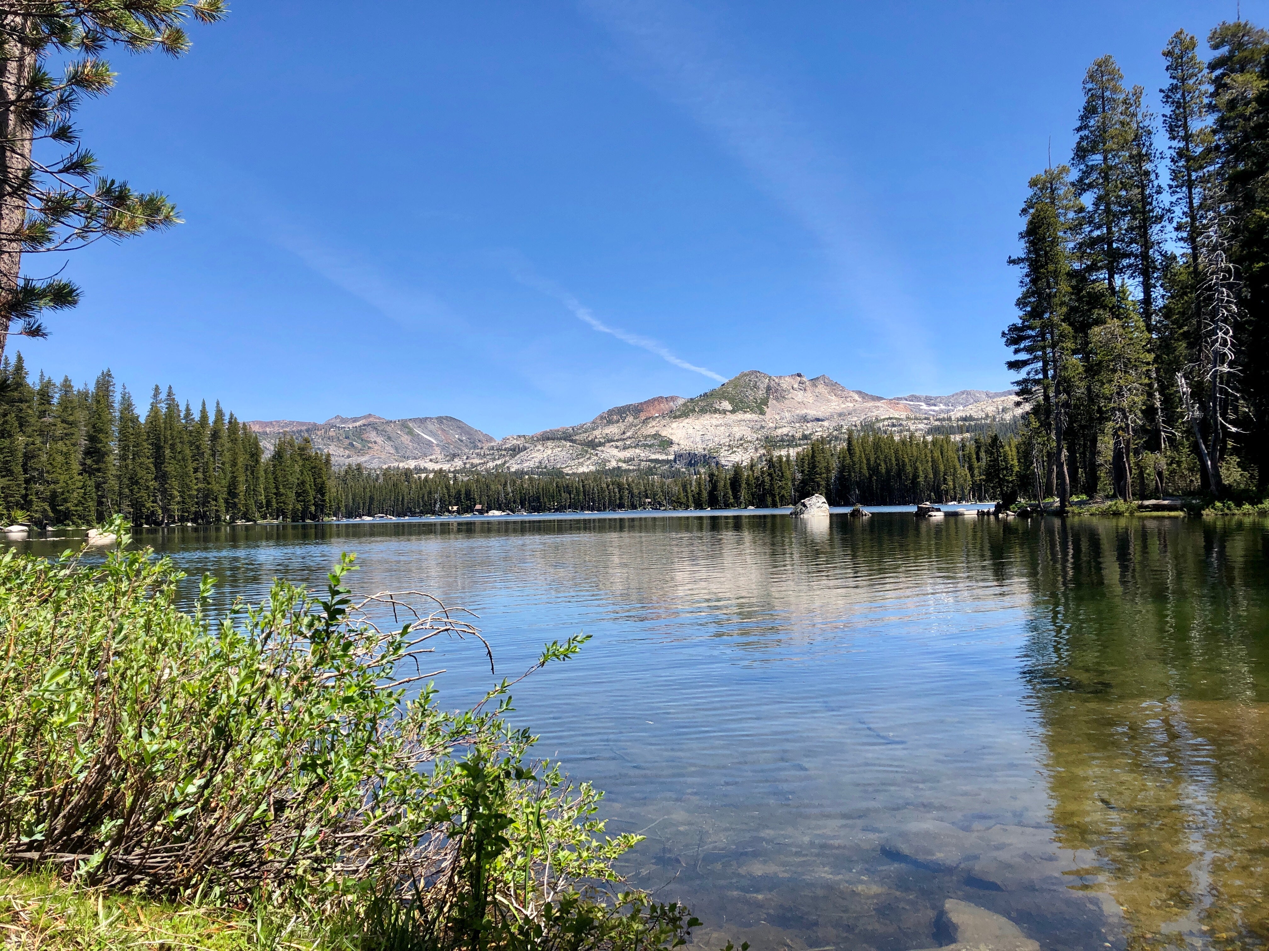 Camper submitted image from Wrights Lake Campground - 3