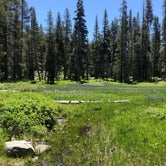 Review photo of Wrights Lake Campground by Nicole B., July 20, 2019
