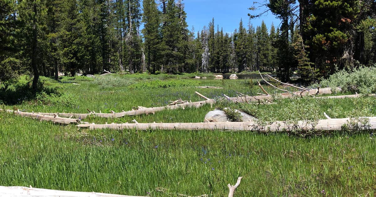 Wrights Lake Campground