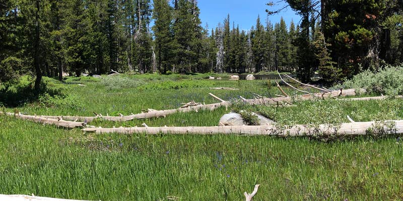 Camper submitted image from Wrights Lake Campground