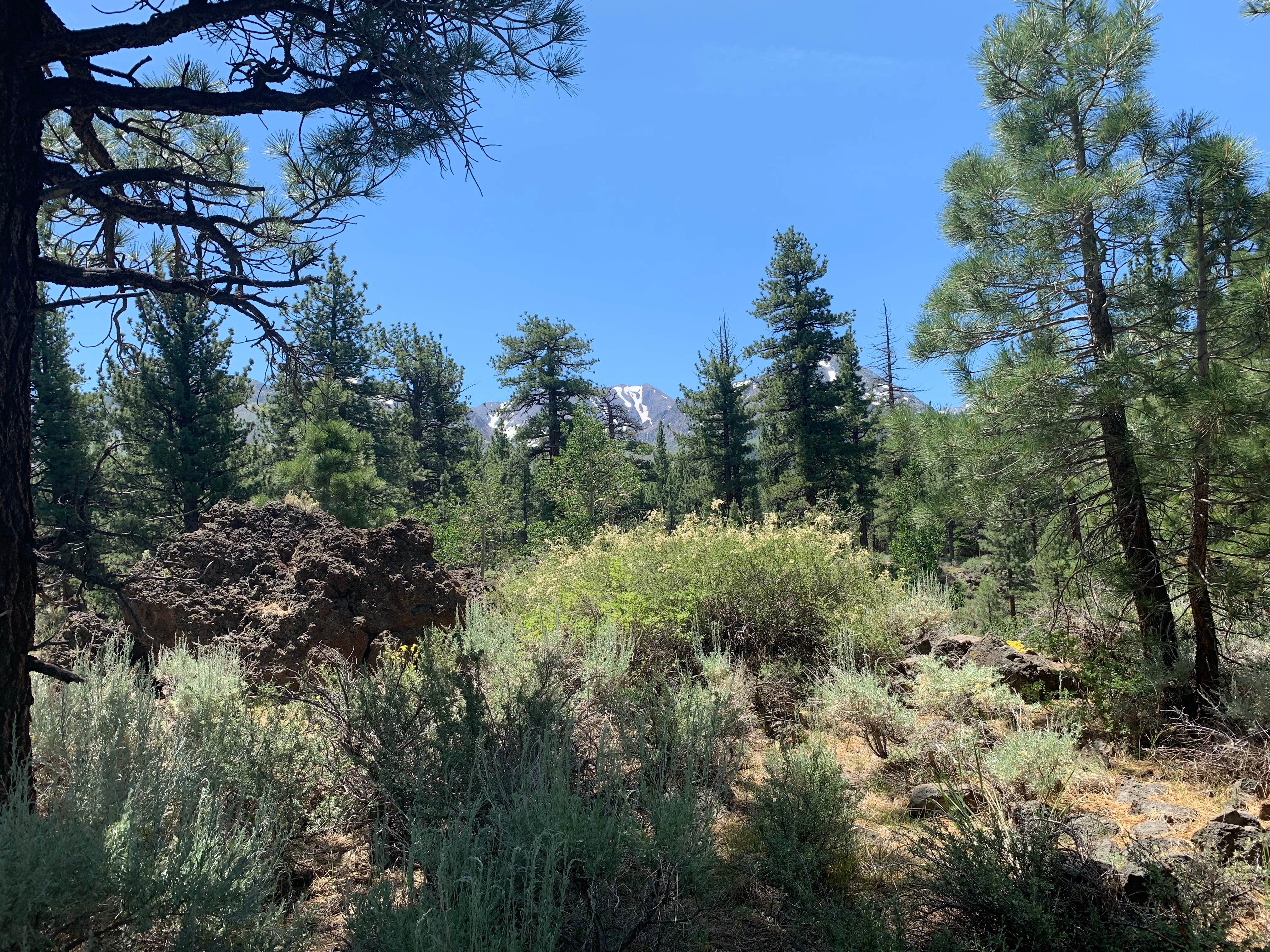 Camper submitted image from Sherwin Creek - 5