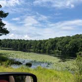 Review photo of Black Moshannon State Park Campground by Ellen B., July 20, 2019