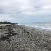Review photo of Pine Grove Campground — Jonathan Dickinson State Park by Corey K., July 20, 2019