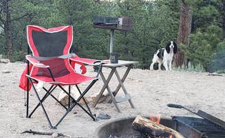 Jenn G.'s photo of camping with pets at White Star near Granite, CO