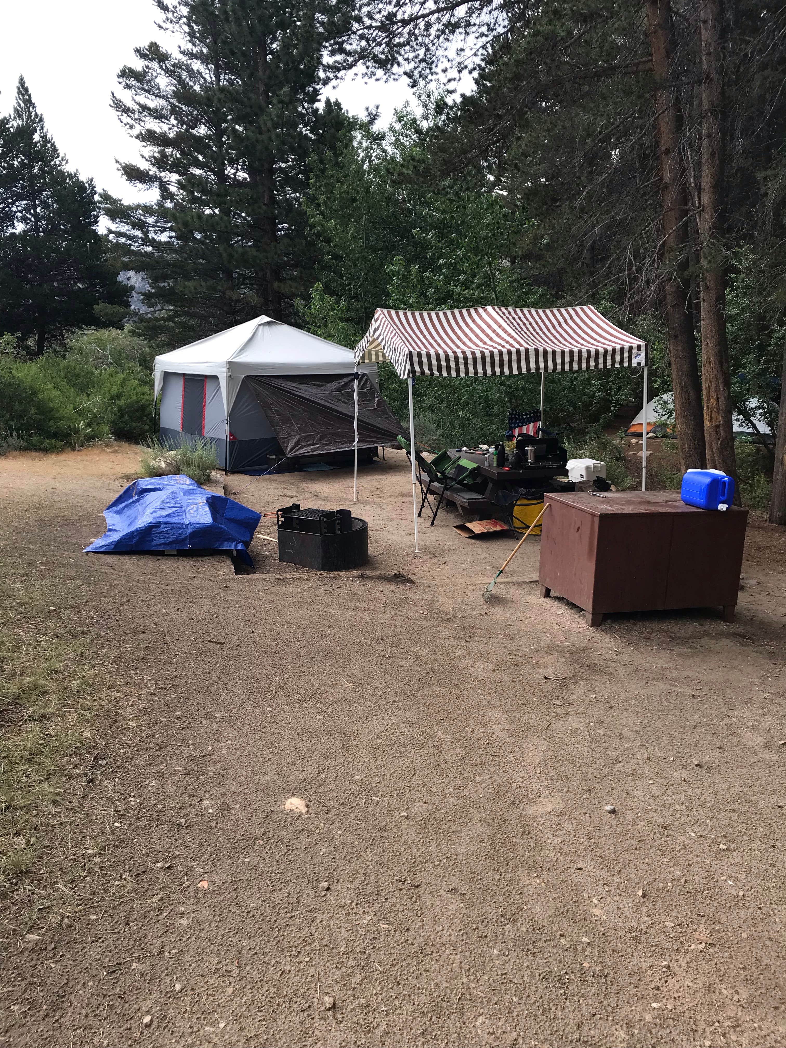 Paul C.'s photo of tent camping at Bishop Park Group (Ca) — Inyo National Forest near Independence, CA