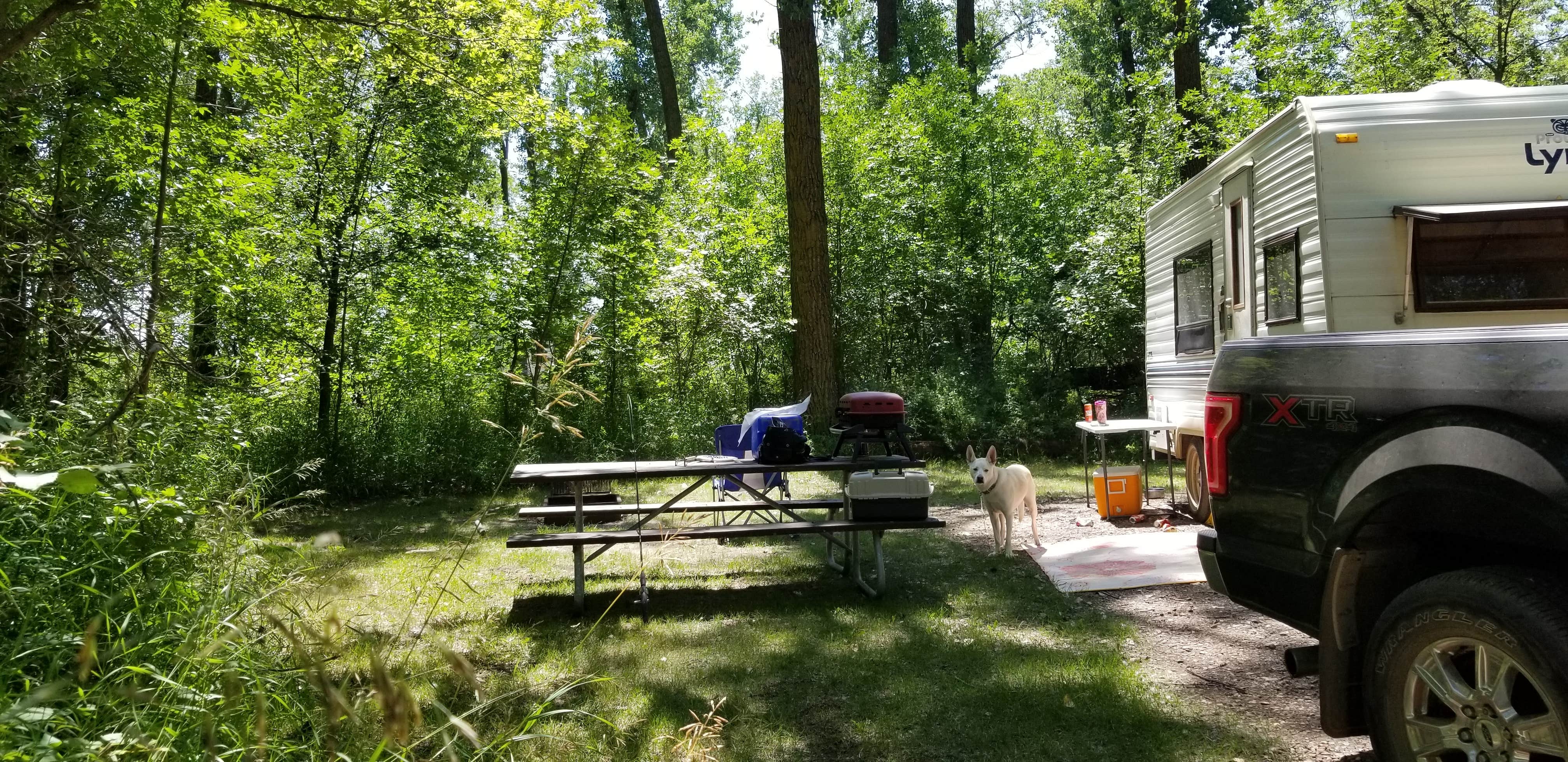 Camper submitted image from Cross Ranch State Park Campground - 4