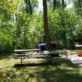 Review photo of Cross Ranch State Park Campground by Allison H., July 20, 2019