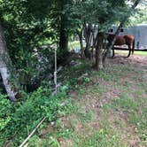 Review photo of Randy’s Horse Camp by Donna F., July 20, 2019