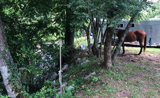 Donna F.'s photo of camping with a horse at Randy’s Horse Camp near Marble, NC