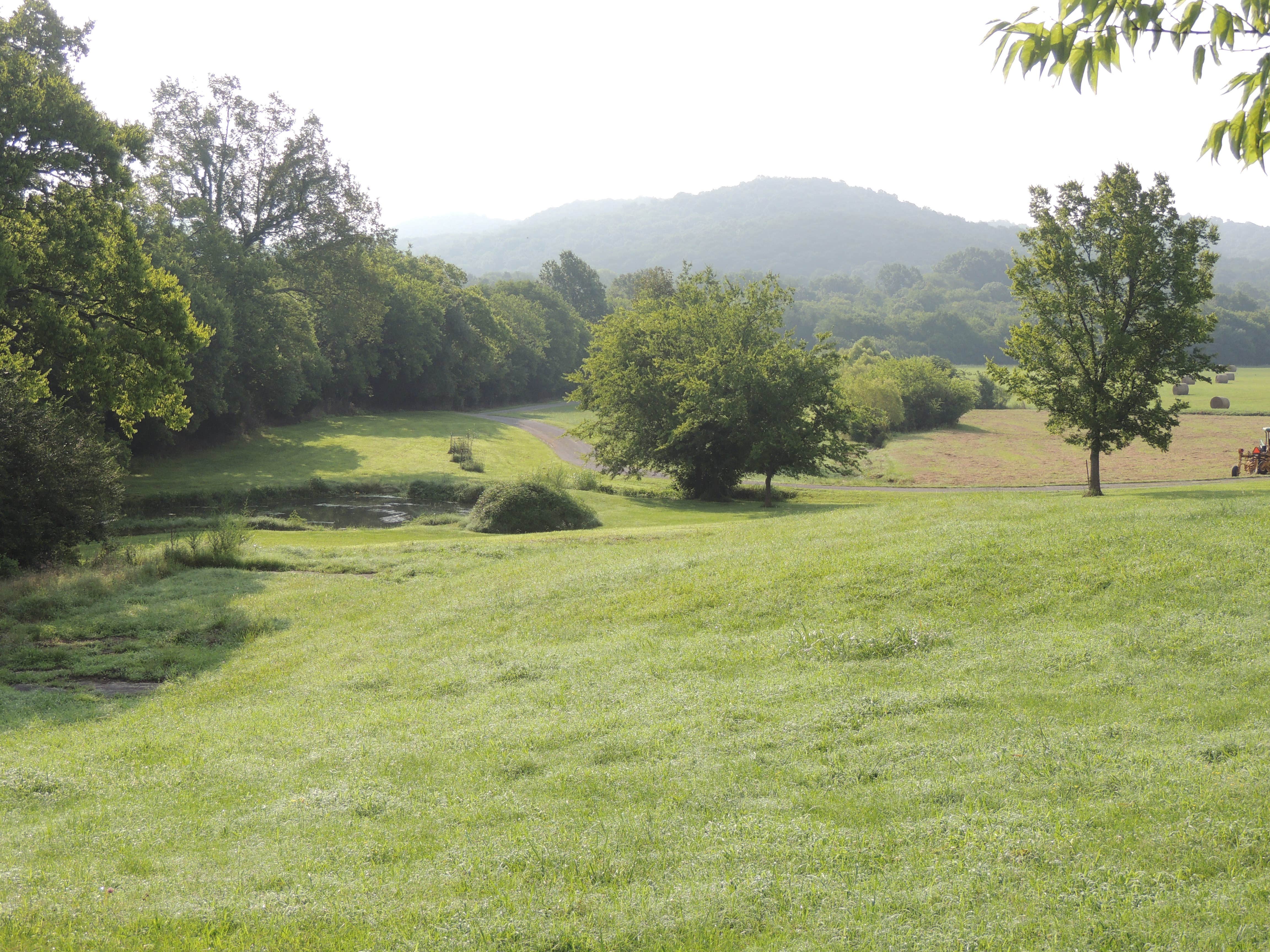Camper-submitted photo at Ray of Hope Guest Ranch and Horse Motel near Harvest, AL