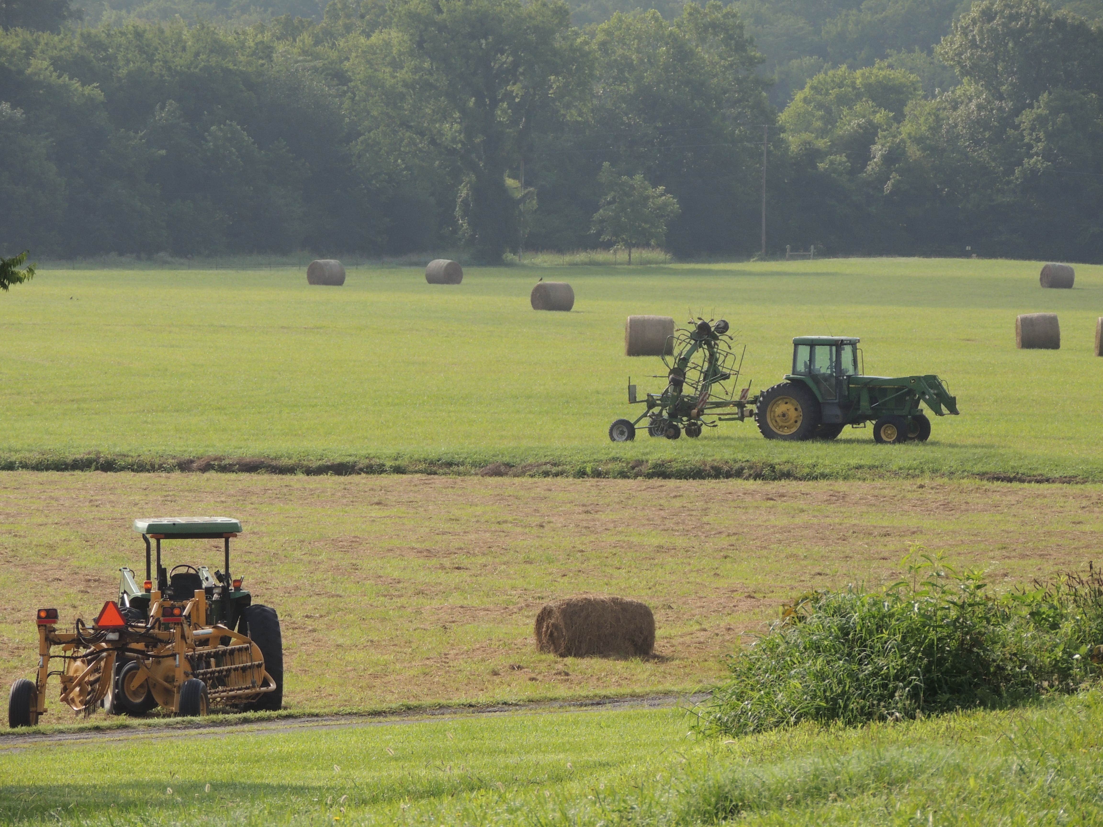 Camper-submitted photo at Ray of Hope Guest Ranch and Horse Motel near Normal, AL