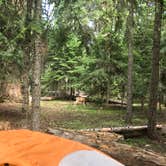 Review photo of Sunset Campground by Tracy C., July 21, 2019