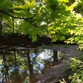 Review photo of Brookside Campground by Molly G., July 21, 2019