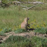 Review photo of Belle Fourche Campground at Devils Tower — Devils Tower National Monument by Lee D., July 21, 2019