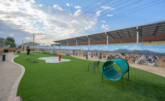 Jennifer D.'s photo of camping with pets at Silver View RV Resort near Laughlin, NV