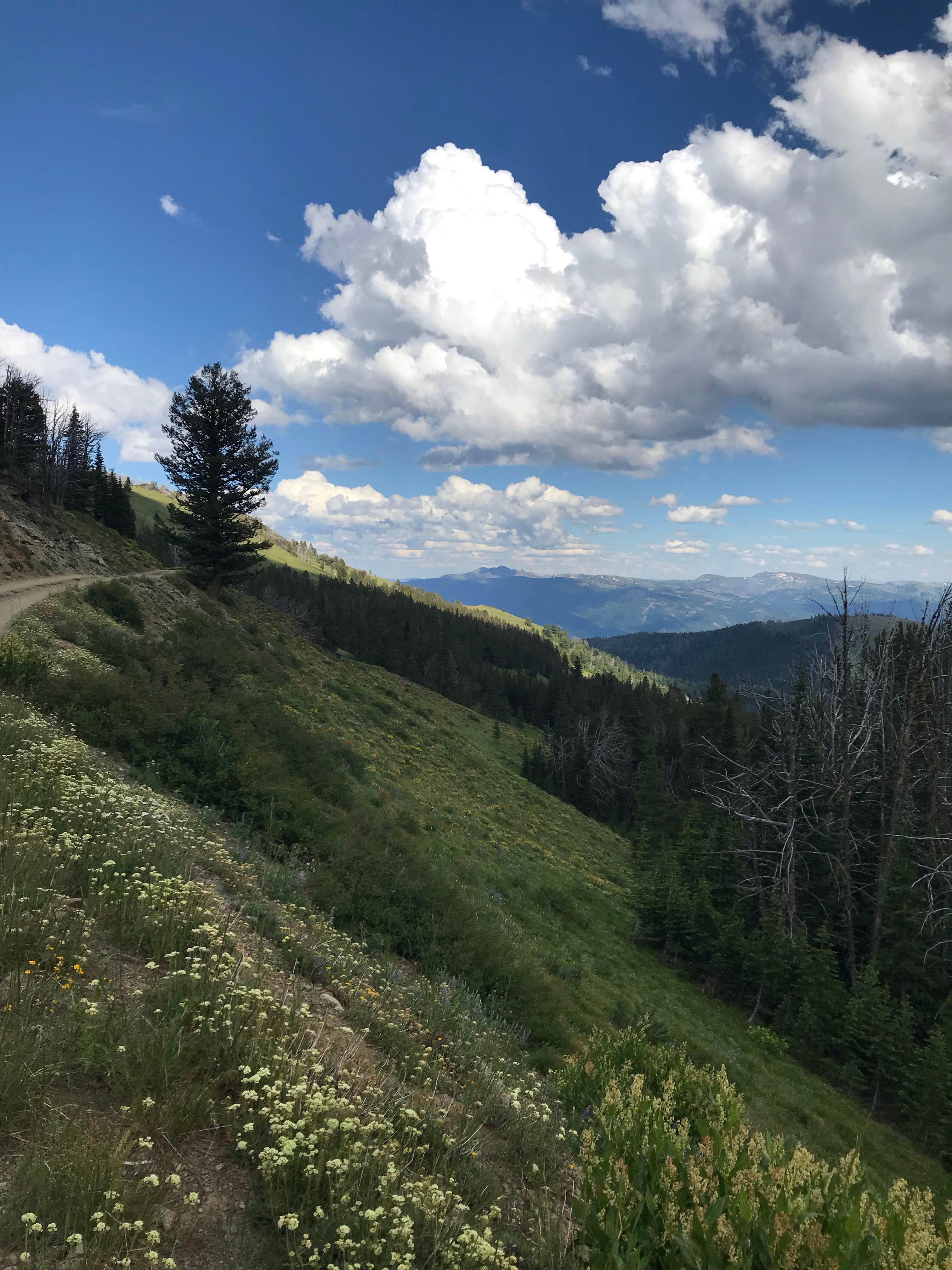 Camper submitted image from Nez Perce National Forest Seven Devils Campground - 2