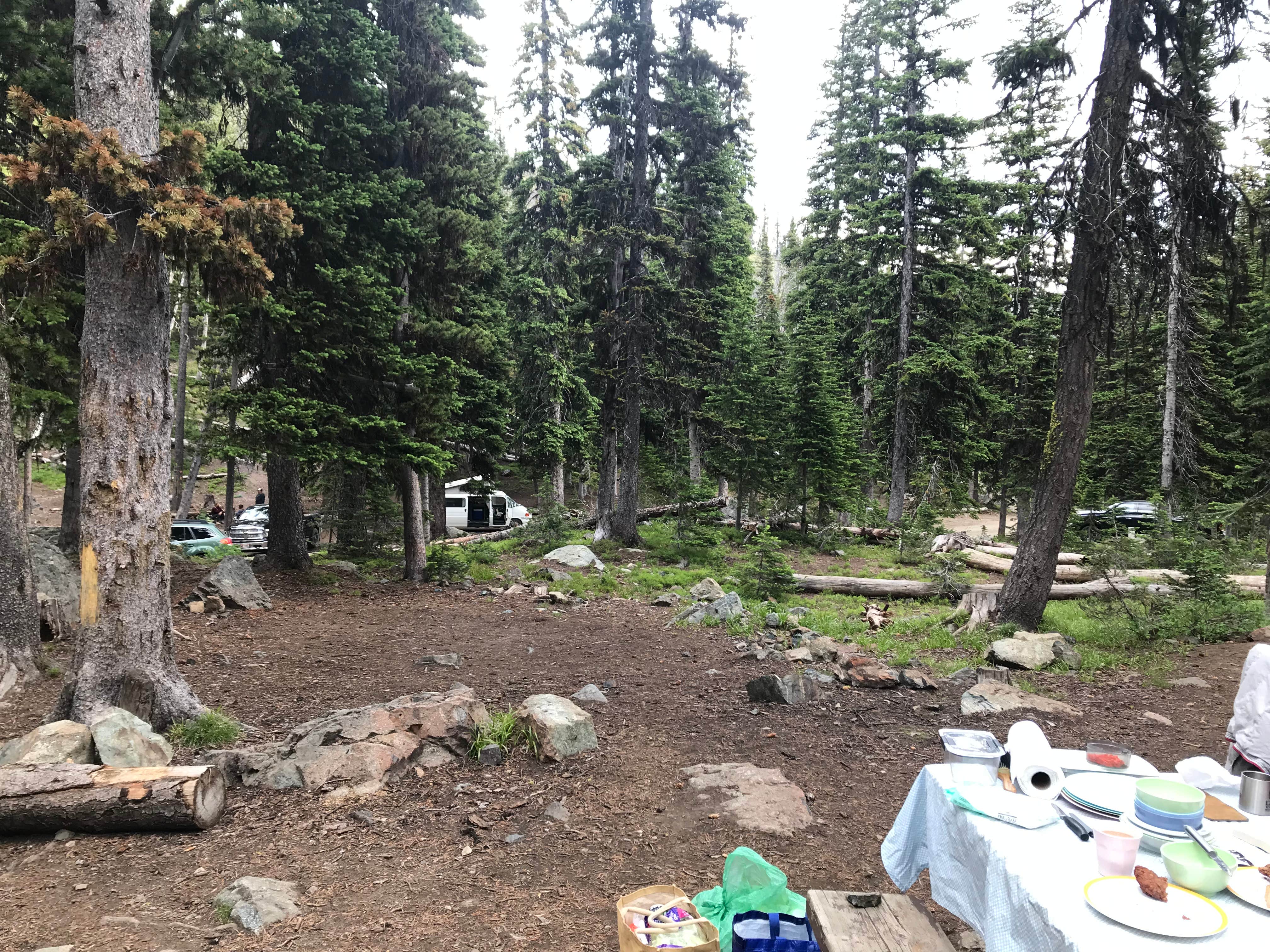 Camper submitted image from Nez Perce National Forest Seven Devils Campground - 4