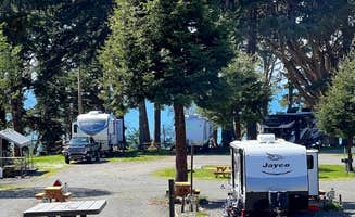 The Dyrt's photo at Camp Trinidad RV Resort near Essex, CA