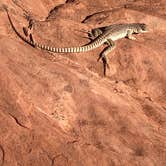 Review photo of Atlatl Rock Campground — Valley of Fire State Park by Vania Z., July 21, 2019
