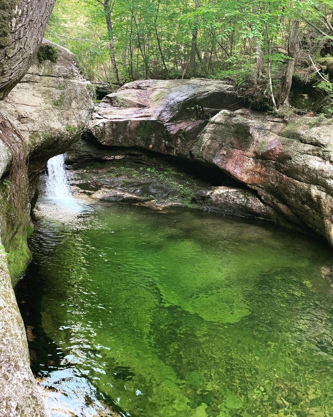 Camper-submitted photo at White Birches Camping Park near Berlin, NH
