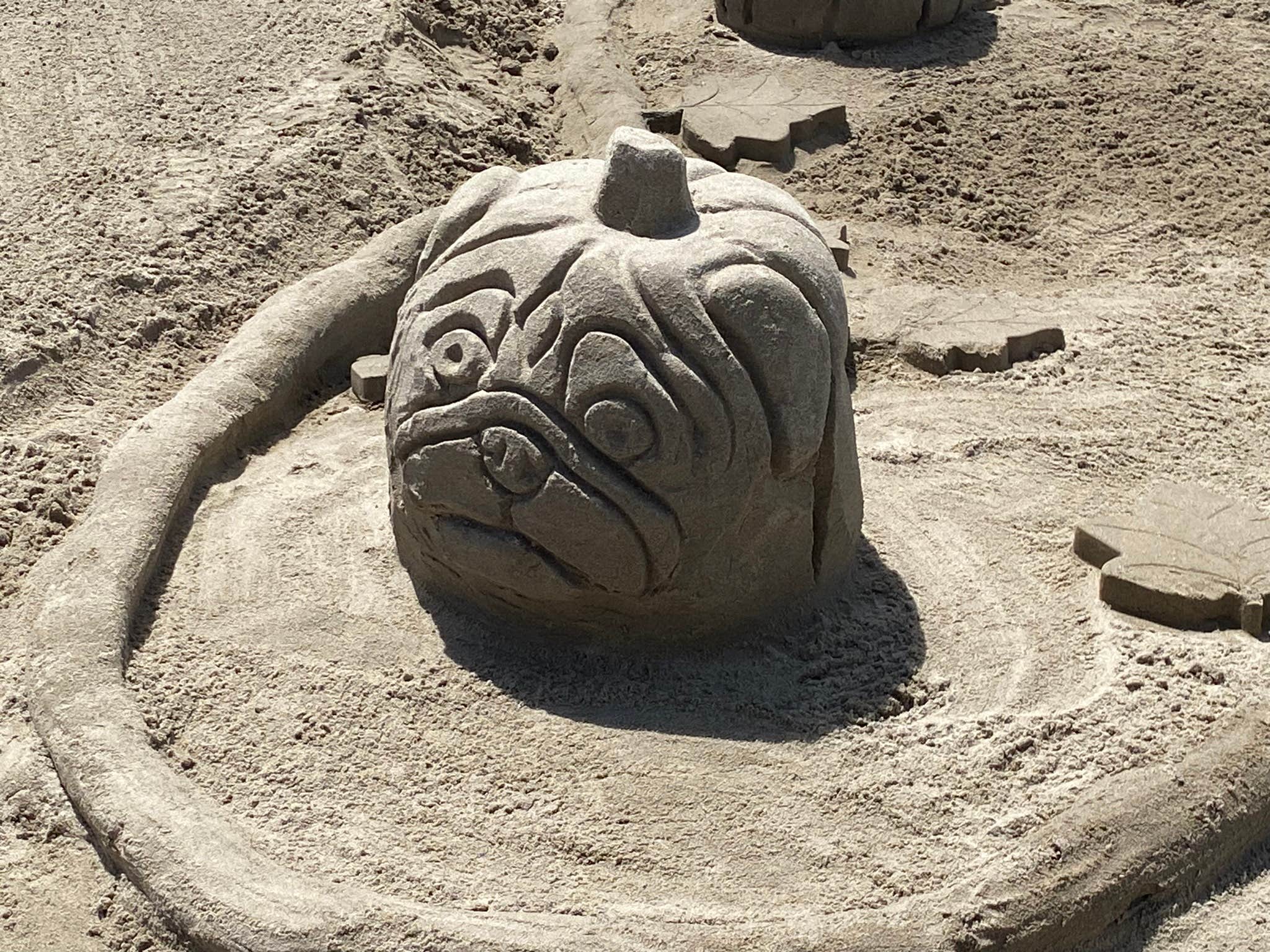 Camper-submitted photo at Wright's for Camping near Cannon Beach, OR