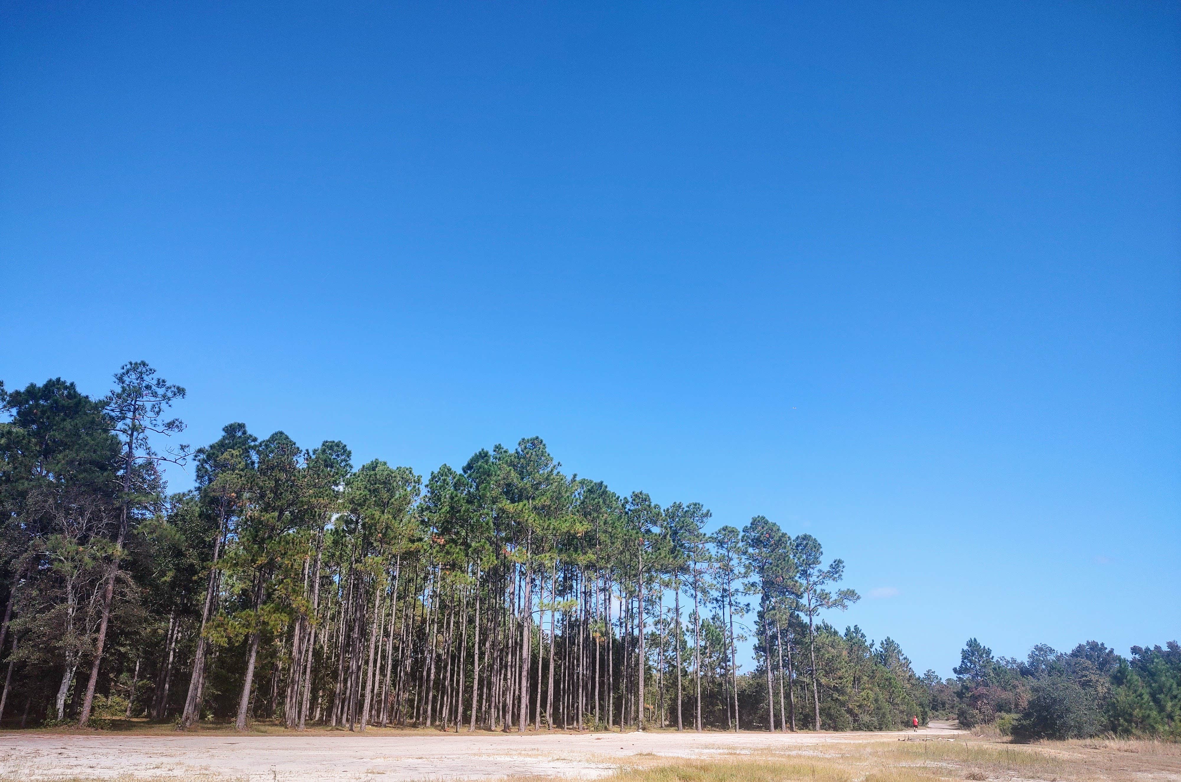 Camper-submitted photo at Horne Lake RV Resort near Hilliard, FL
