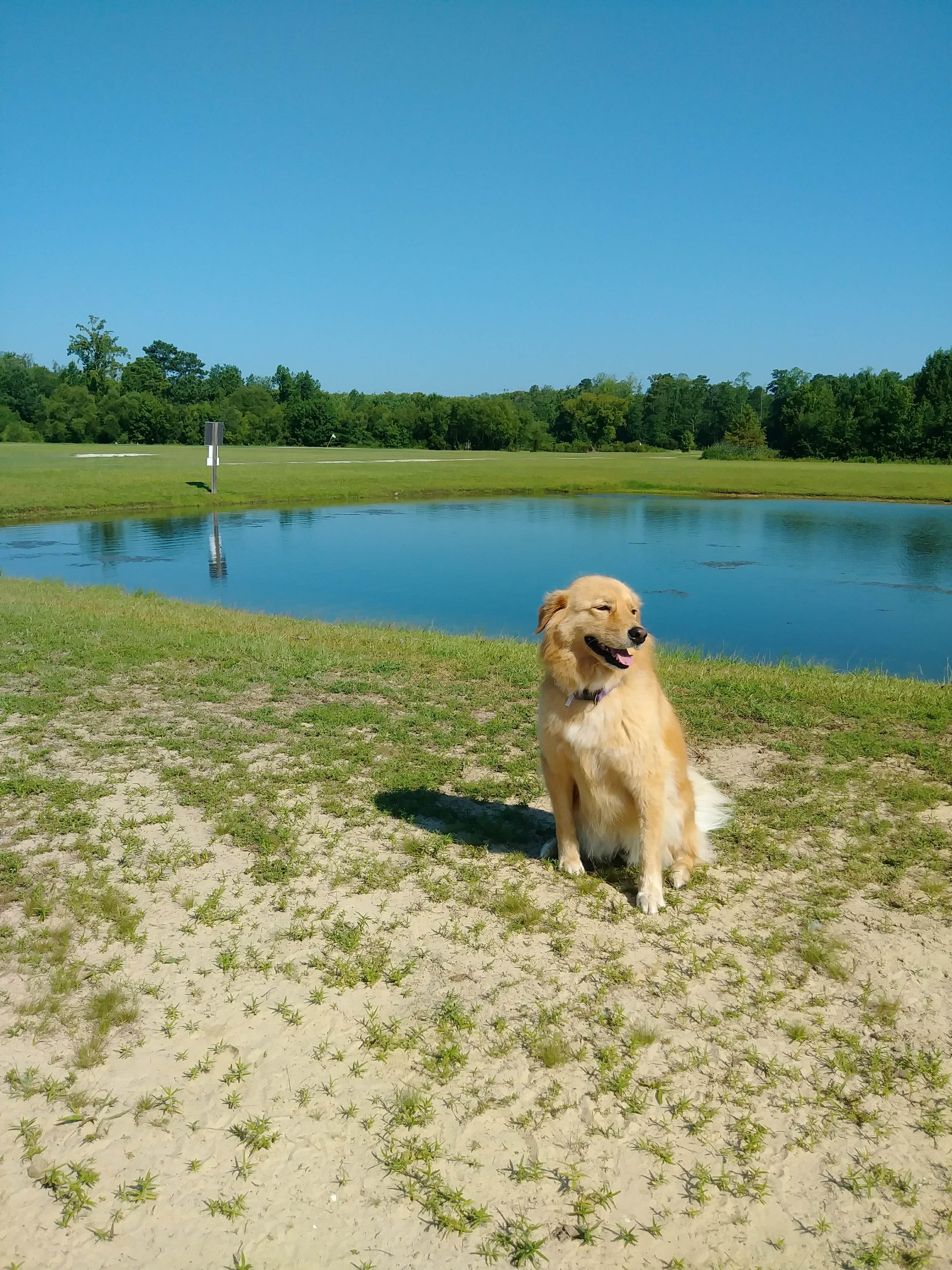 Paul R.'s photo of camping with pets at Rocky Hock Campground near Moyock, NC